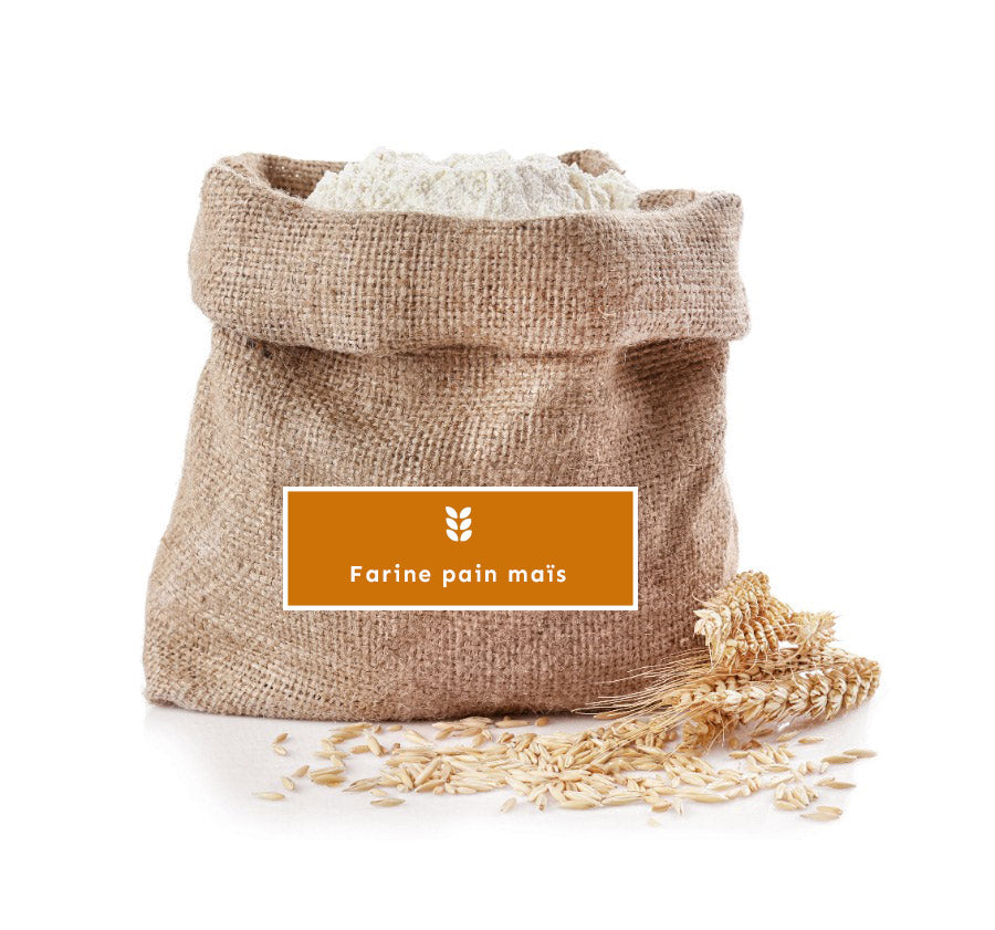 Farine Maïs